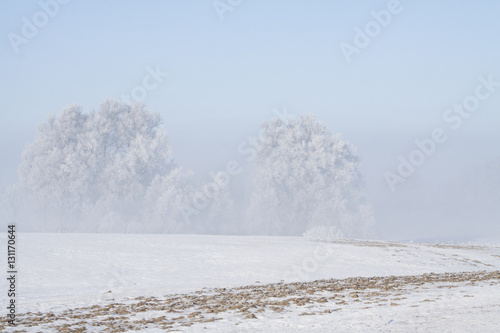 Wallpaper Mural Winter Day in Sweden Torontodigital.ca