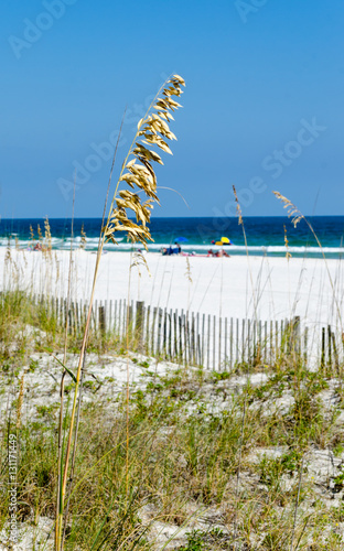 Gulf Coast Beach