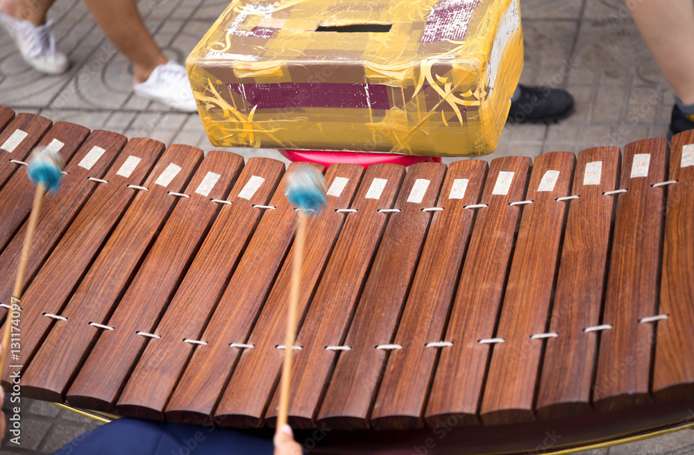 Woman play drum sticks striking the xylophone with donation box