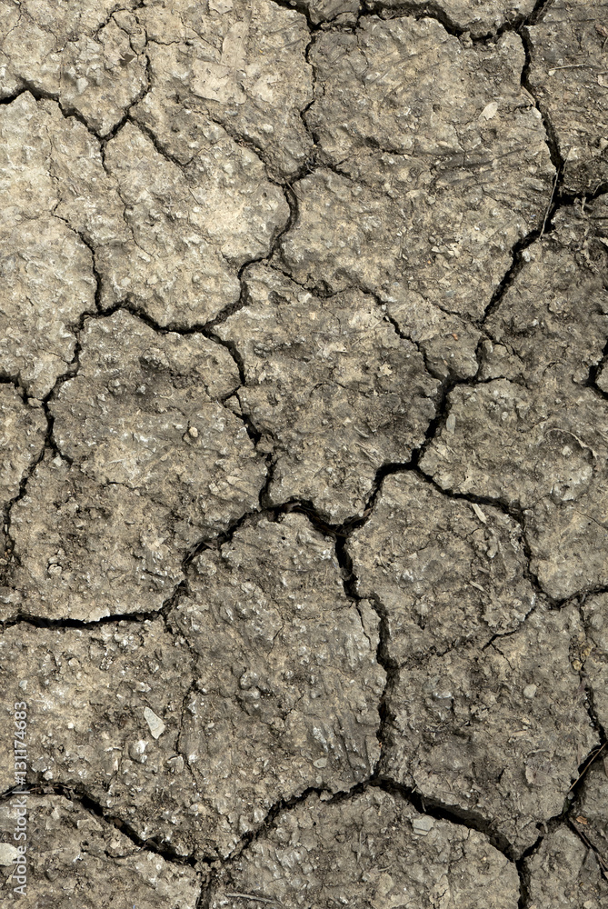 Soil texture and dry mud or Ground in drought. Soil texture and dry mud or Ground in drought.