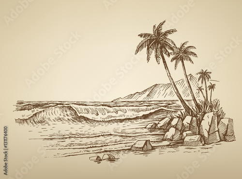 beach with palm trees illustration