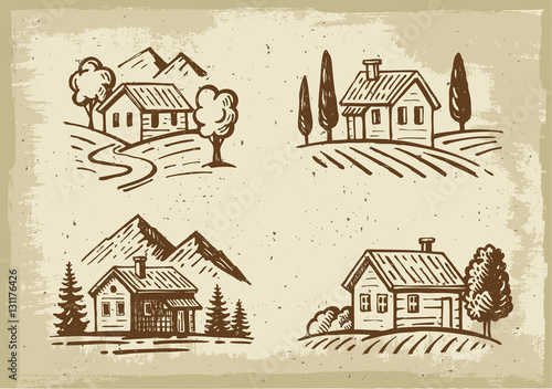 vector summer cottage