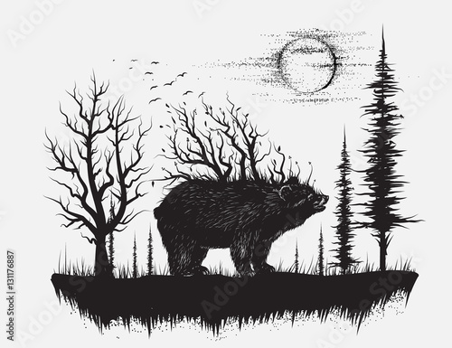 Fototapeta Streszczenie niedźwiedź w dziwnym lesie