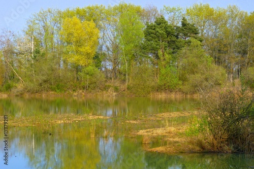 mare et arbres aux couleurs automnales