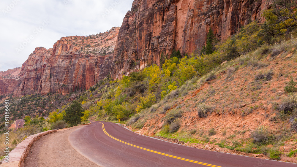 View on Zion-Mount Carmel Highway in Zion National Park, Utah, USA