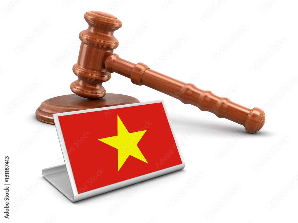 3d wooden mallet and Vietnamese flag. Image with clipping path