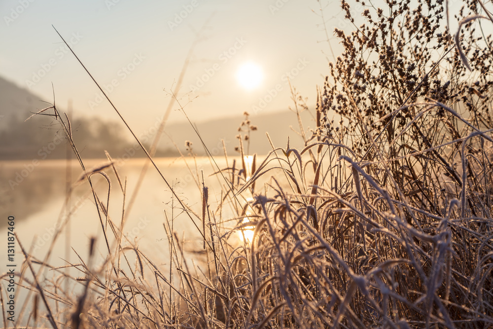 Obraz premium Sonnenaufgang im Winter an der Elbe