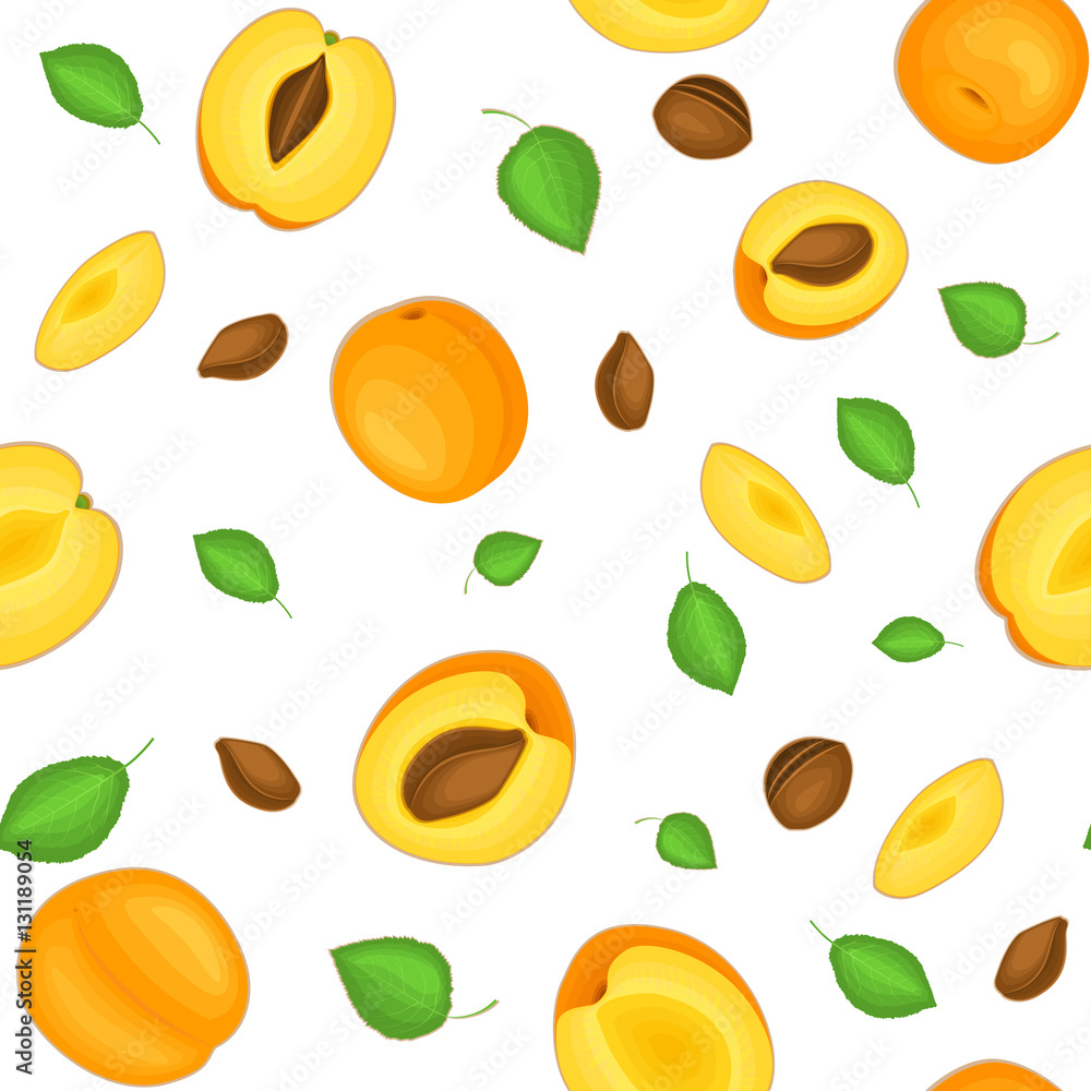 Seamless vector pattern of bright apricot fruit. White background with delicious apricots, whole, slice, half, leaves. Illustration can be used for printing on fabric, textile in design packaging