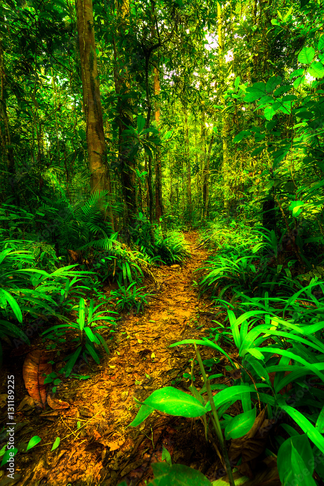 nature as are plant on the montains 