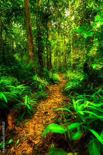 nature as are plant on the montains 