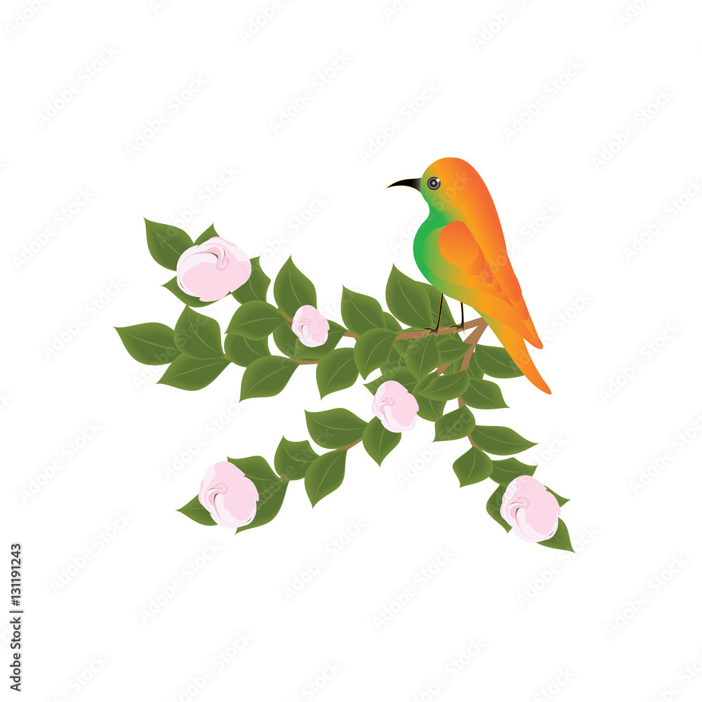 Bright yellow bird sitting on a blooming tree branch art creative modern vector illustration, isolated on a white background design elements