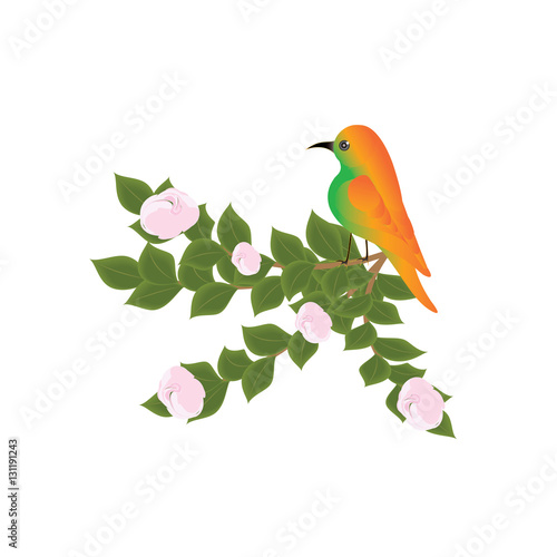Bright yellow bird sitting on a blooming tree branch art creative modern vector illustration  isolated on a white background design elements