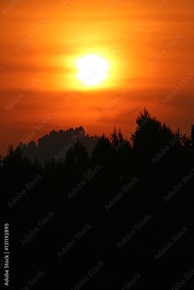 Amazing sunset in african congo, wild and nature in africa, beautiful landscape view, green jungle and mountains