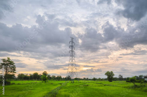 Electic Pole And Wire