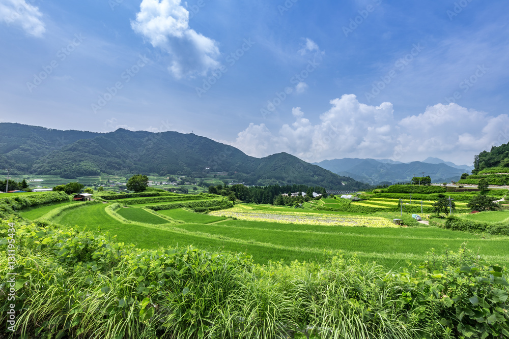 高千穂周辺の風景 Stock Photo Adobe Stock
