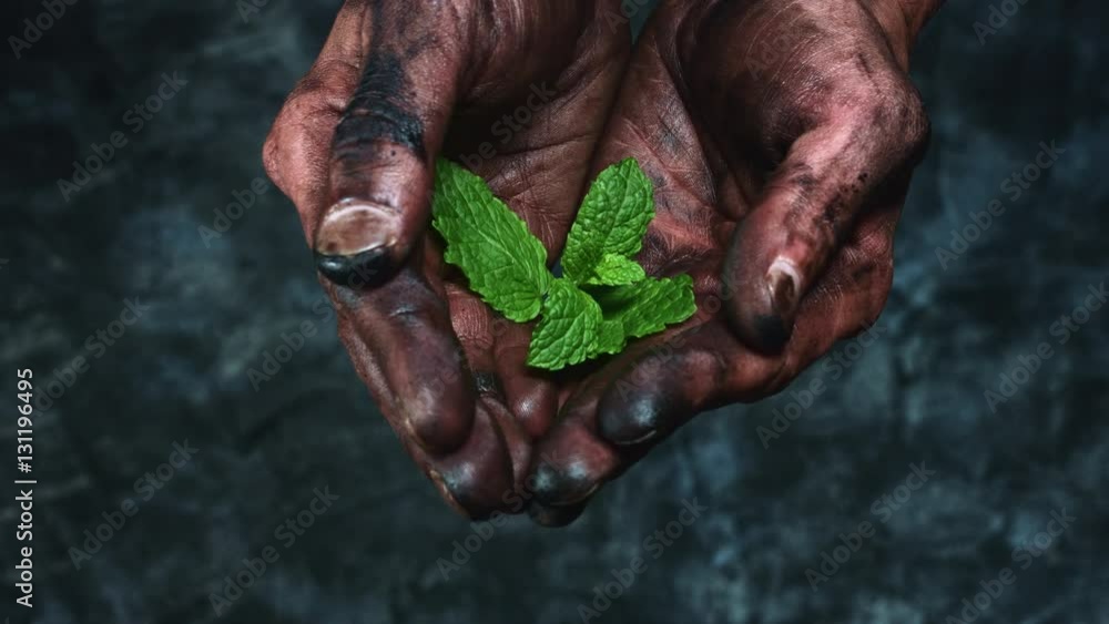 4k Technical Composition of Dirty Mechanic Hands Holding Green Leaf 4k Technical Composition of Dirty Mechanic Hands Holding Green Leaf