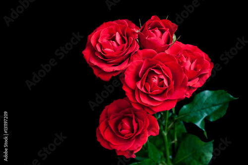 Bouquet of beautiful red roses on black background  Floral wallpaper