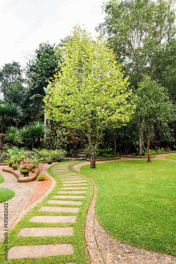 pathway in formal nature garden and green lawn