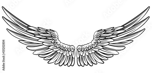 Pair of Spread Wings