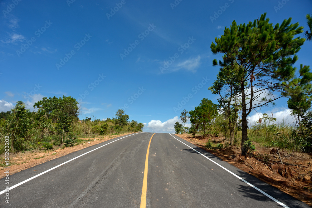 Fototapeta premium road and blue sky