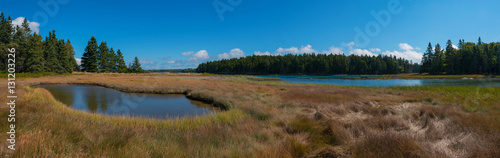 Acadia National Park Wetlands Panorama