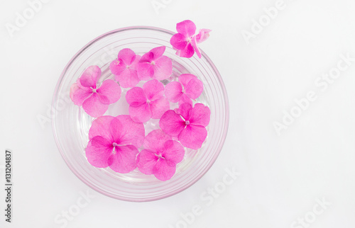 Hortensia flowers floating in a bowl of water