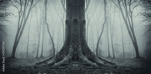 Tablou pe pânză Scary Halloween forest