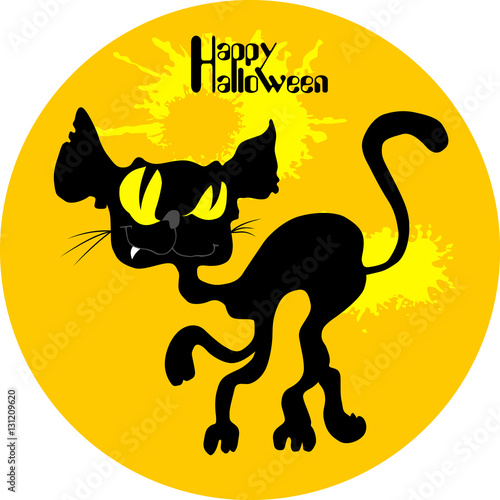 wild black cat halloween