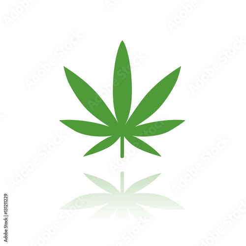 Cannabis - Marijuana - Hanf