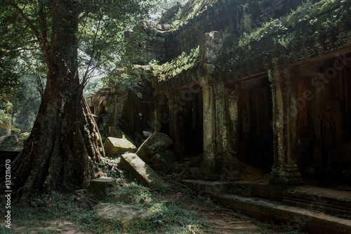 Amazing Angkor is popular tourist attraction and mysterious tree © horimono