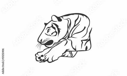 Sketch beautiful tiger on a white background. Vector illustration