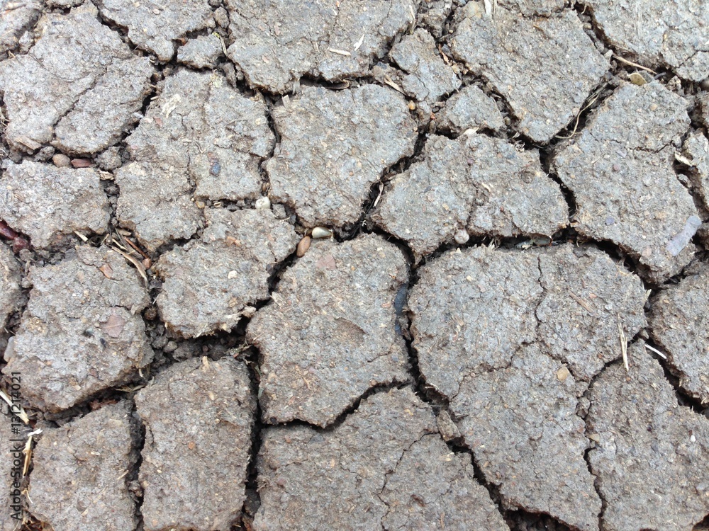 Fototapeta premium Lack of water