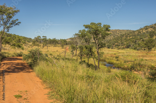 Welgevonden Game Reserve is Located within the Waterberg Mountains in Limpopo South Africa