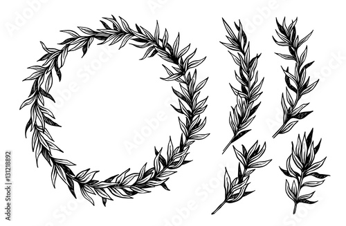 Hand drawn vector illustration. Vintage decorative laurel wreath