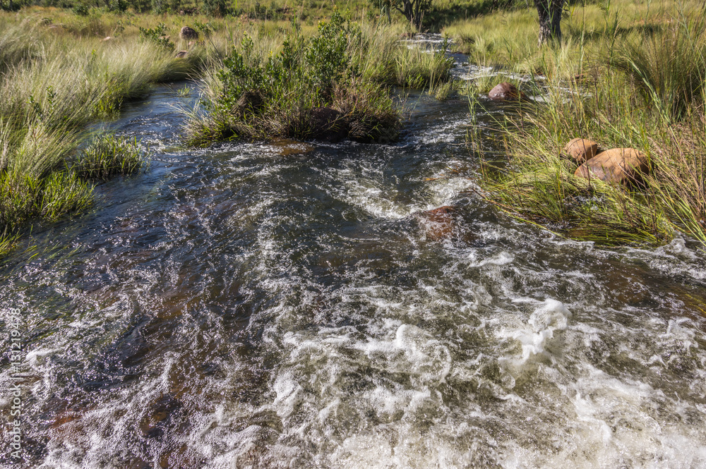 Fototapeta premium Welgevonden Game Reserve is Located within the Waterberg Mountains in Limpopo South Africa