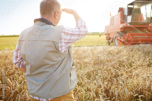 Rear view of farmer in wheat field looking at combine harvester photo