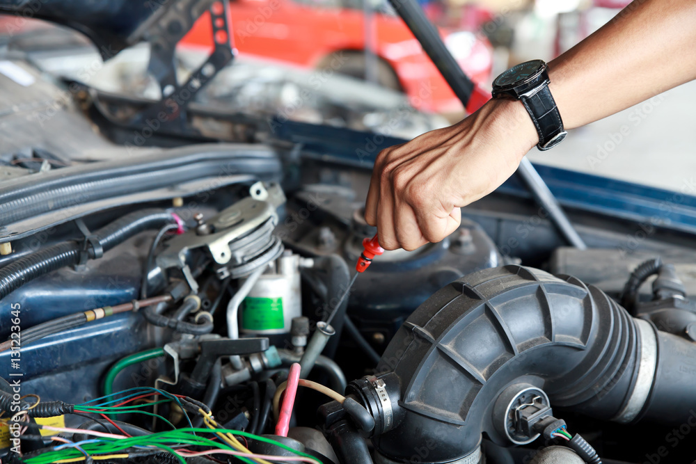 Car's mechanic checking oil.