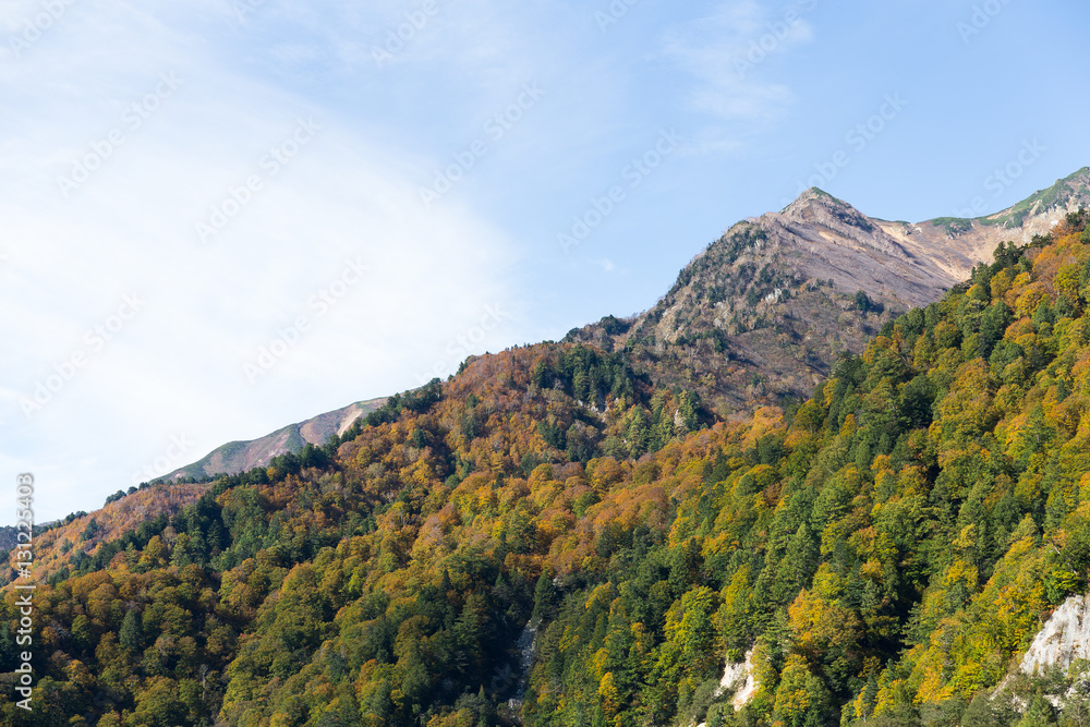 Mountain in Tateyama