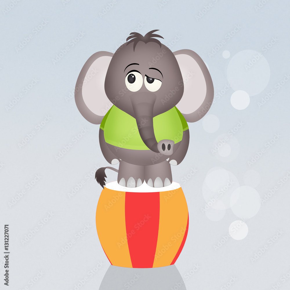 Fototapeta premium funny elephant circus