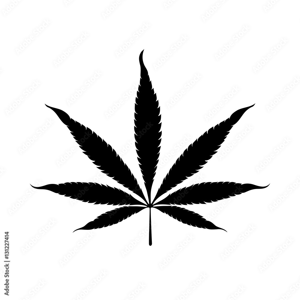 Vector marijuana leaf. Black silhouette leaf print on a white background Vector marijuana leaf. Black silhouette leaf print on a white background