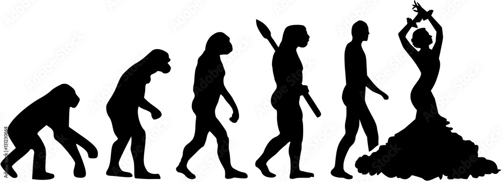Flamenco Evolution Flamenco Evolution