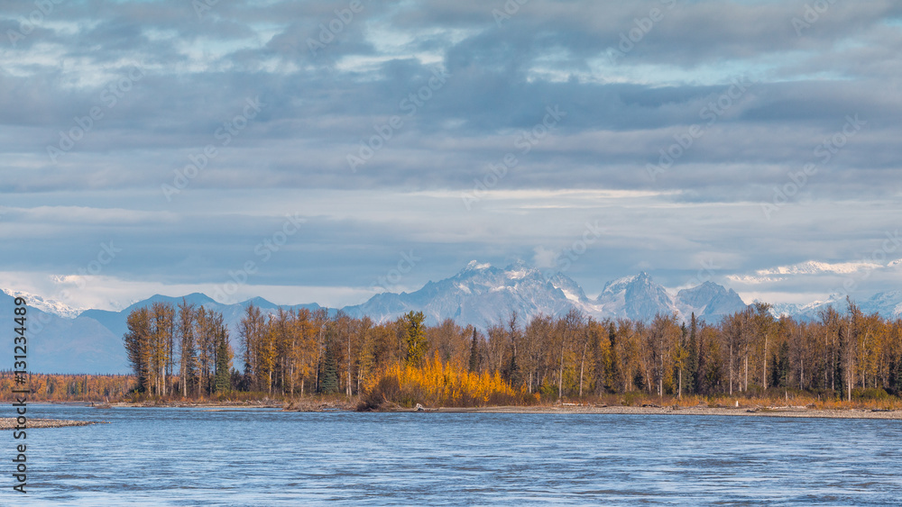 Beautiful colors of fall early morning at Susitna River with the Denali National Park in background. Close to Talkeetna river. Alaska.