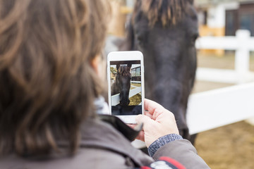 Man taking picture of a horse