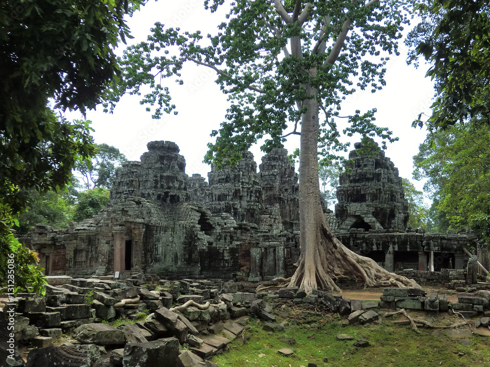 Ta Prohm tree root covered ancient abandoned lost temple in Siem Reap, Cambodia Ta Prohm tree root covered ancient abandoned lost temple in Siem Reap, Cambodia