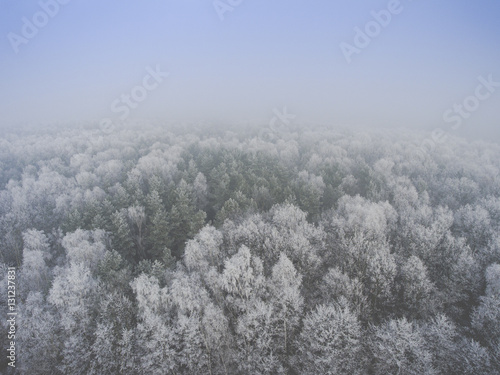 Aerial view of the winter background with a snow-covered forest © Curioso.Photography