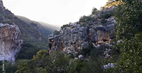 Εκτύπωση καμβά Mount Carmel.