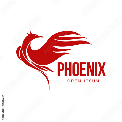 Stylized graphic phoenix bird resurrecting in flame logo template, vector illustration isolated on white background. Phoenix in fire logotype template, revival, rebirth, resurrection concept