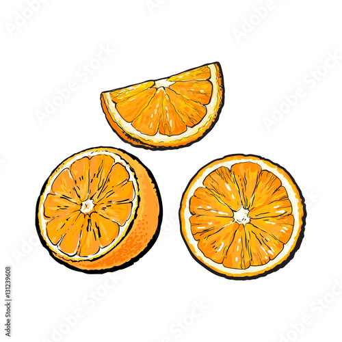 Set of realistic colorful hand drawn half, slice and segment of ripe, juicy orange, sketch vector illustration isolated on white background. Hand drawing of orange cut in half, sliced and segmented
