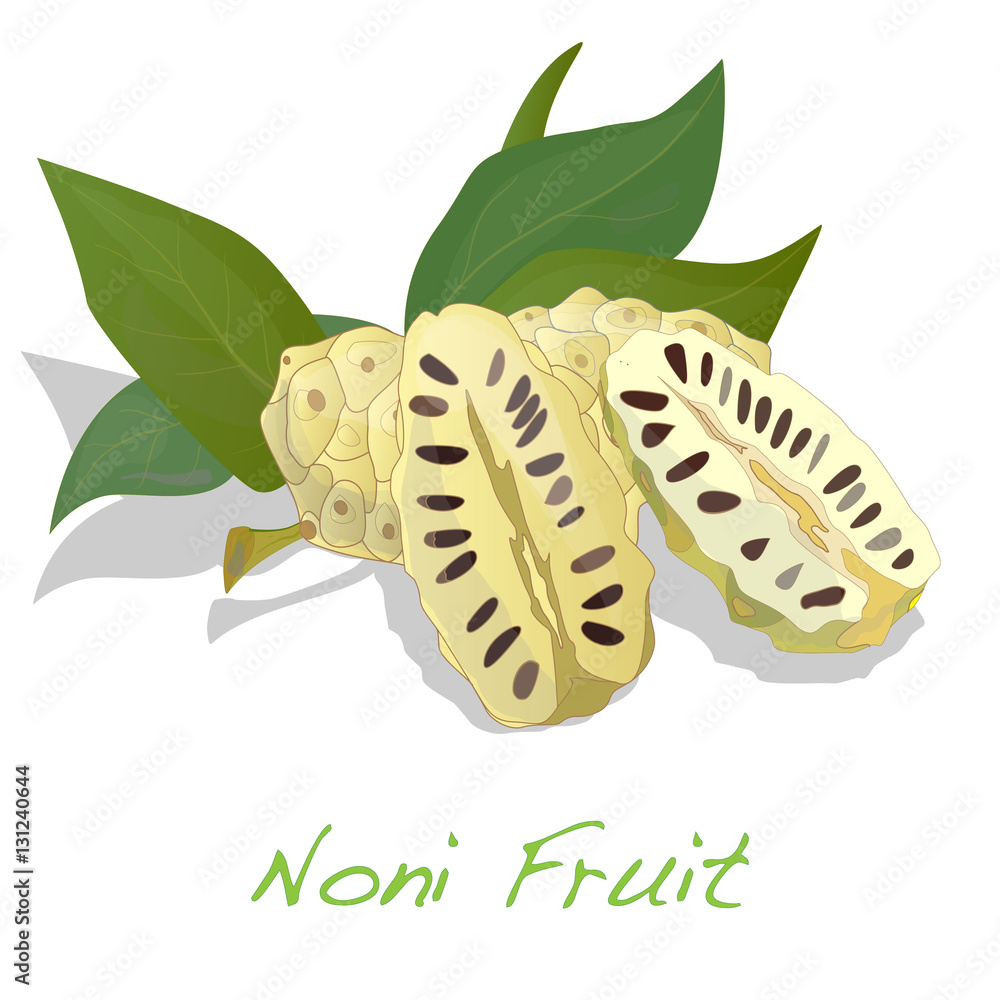 Noni isolated Noni isolated
