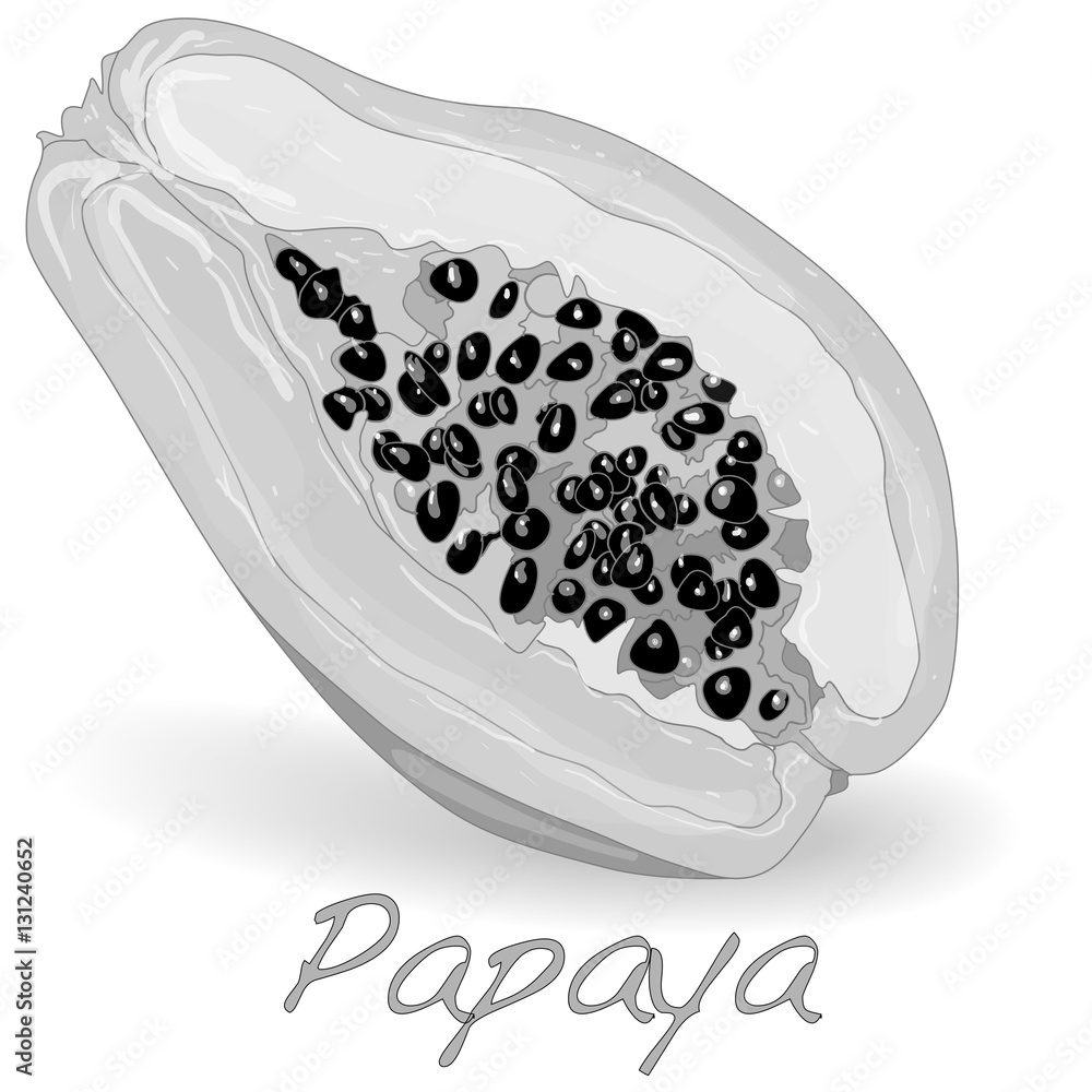 Fototapeta premium Fresh and tasty papaya